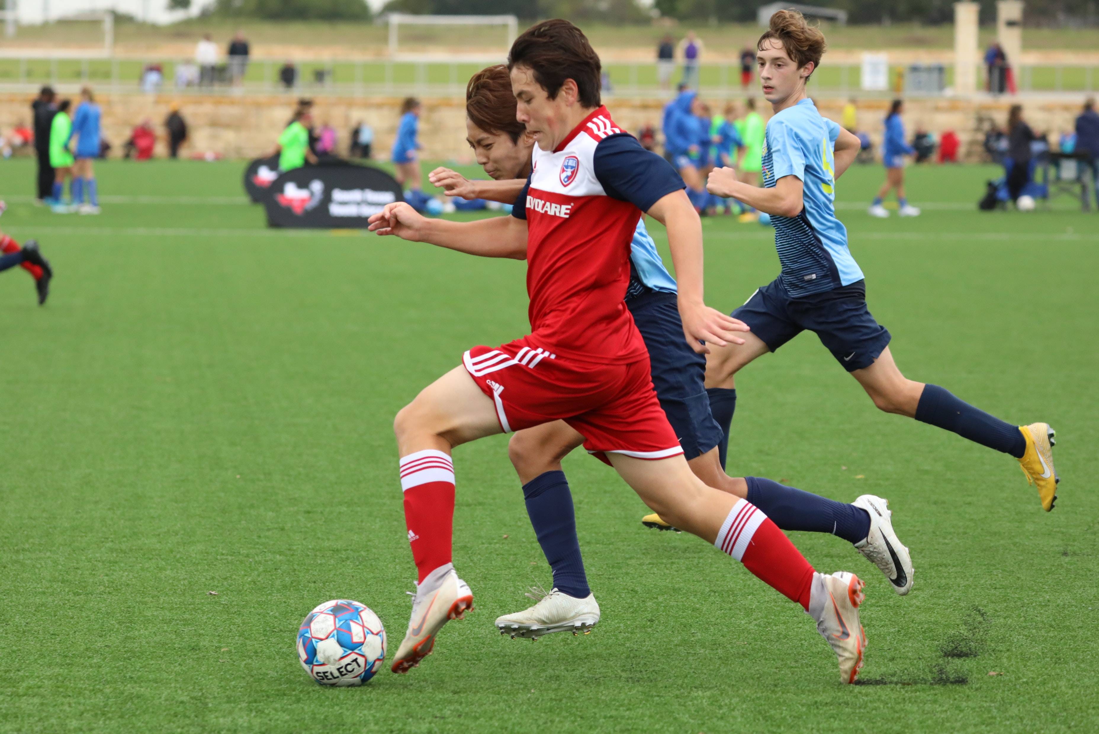 臂展封盖了 臂展封盖了