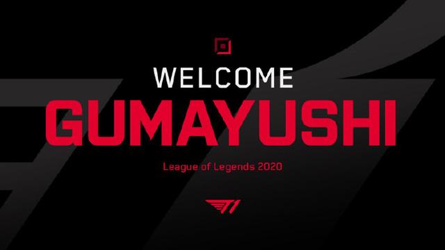 职业生涯的 职业生涯的