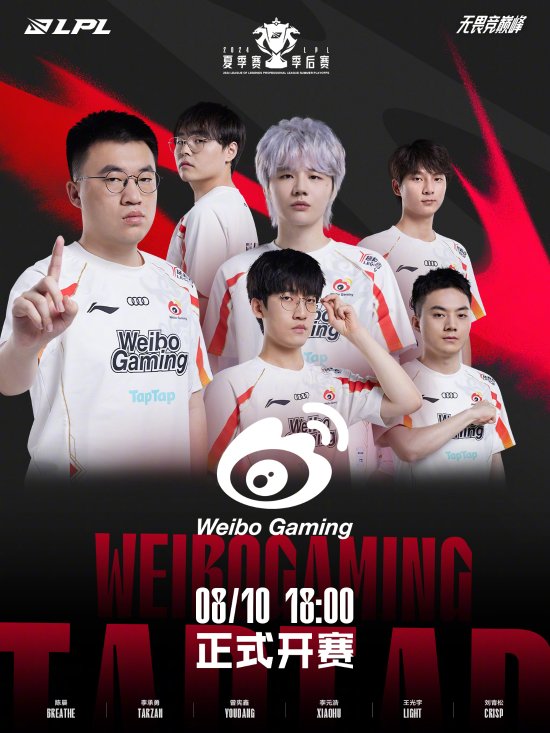 泰拉的友谊 泰拉的友谊